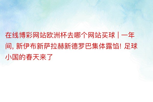 在线博彩网站欧洲杯去哪个网站买球 | 一年间, 新伊布新萨拉赫新德罗巴集体露馅! 足球小国的春天来了