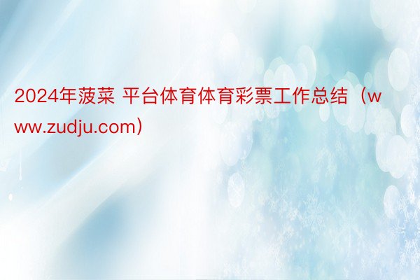 2024年菠菜 平台体育体育彩票工作总结（www.zudju.com）